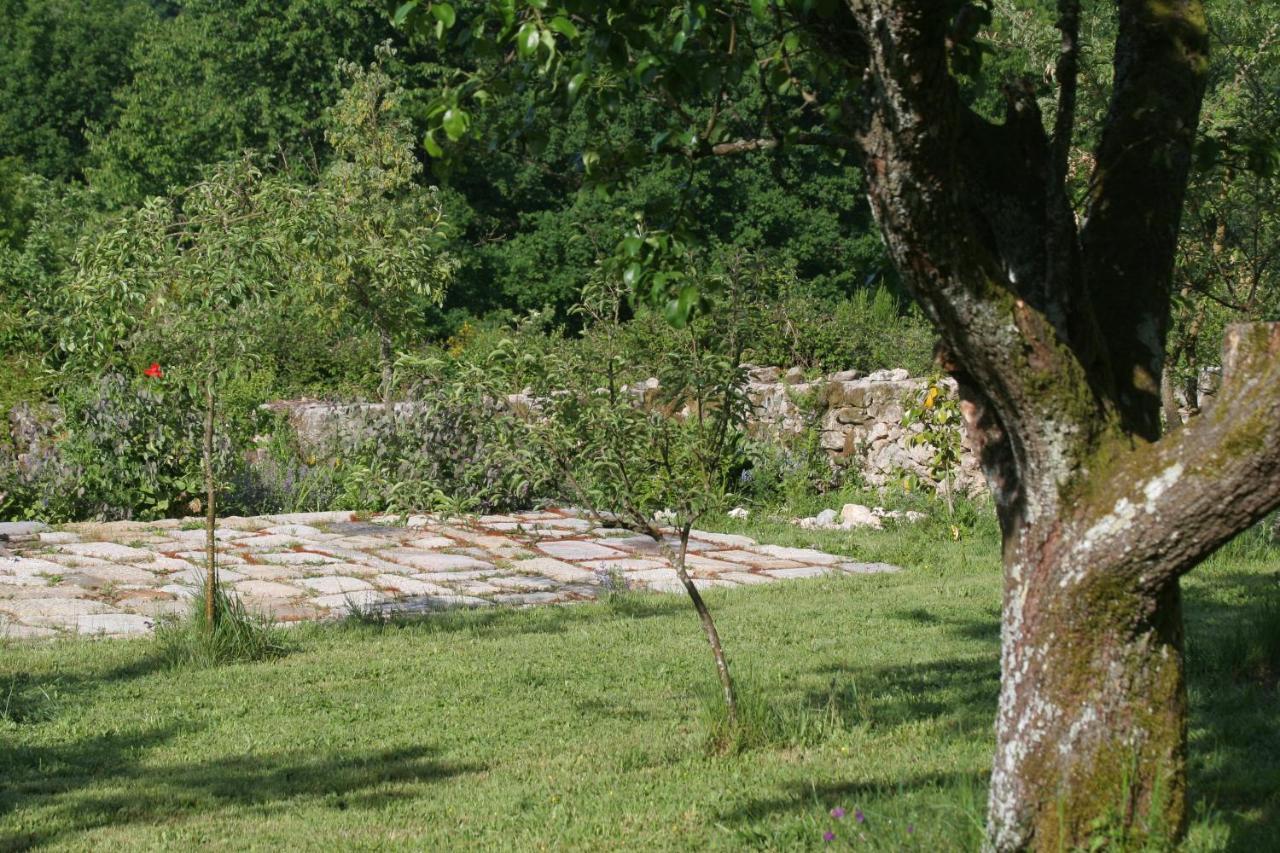 Maceda Pazo De Chaioso Ribeira Sacra מראה חיצוני תמונה