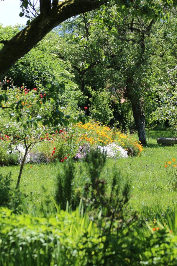 Maceda Pazo De Chaioso Ribeira Sacra מראה חיצוני תמונה