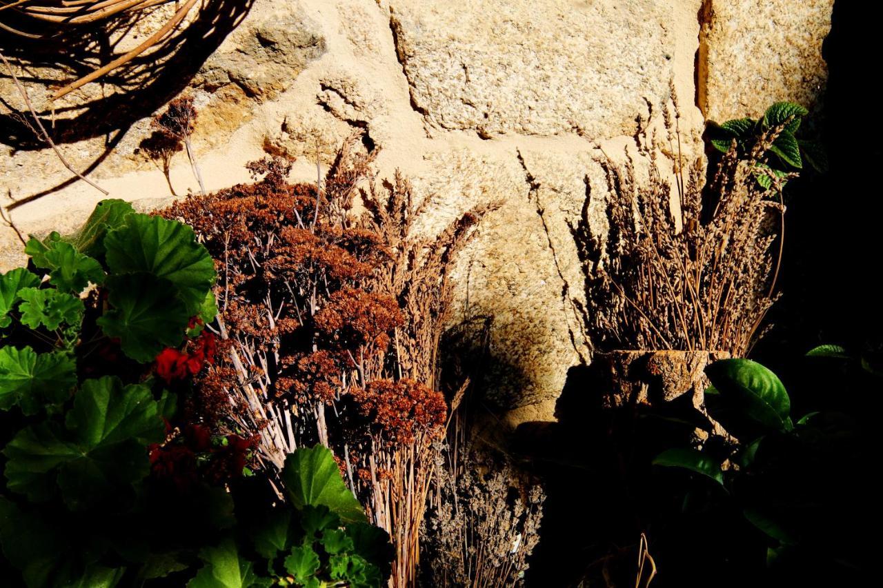 Maceda Pazo De Chaioso Ribeira Sacra מראה חיצוני תמונה